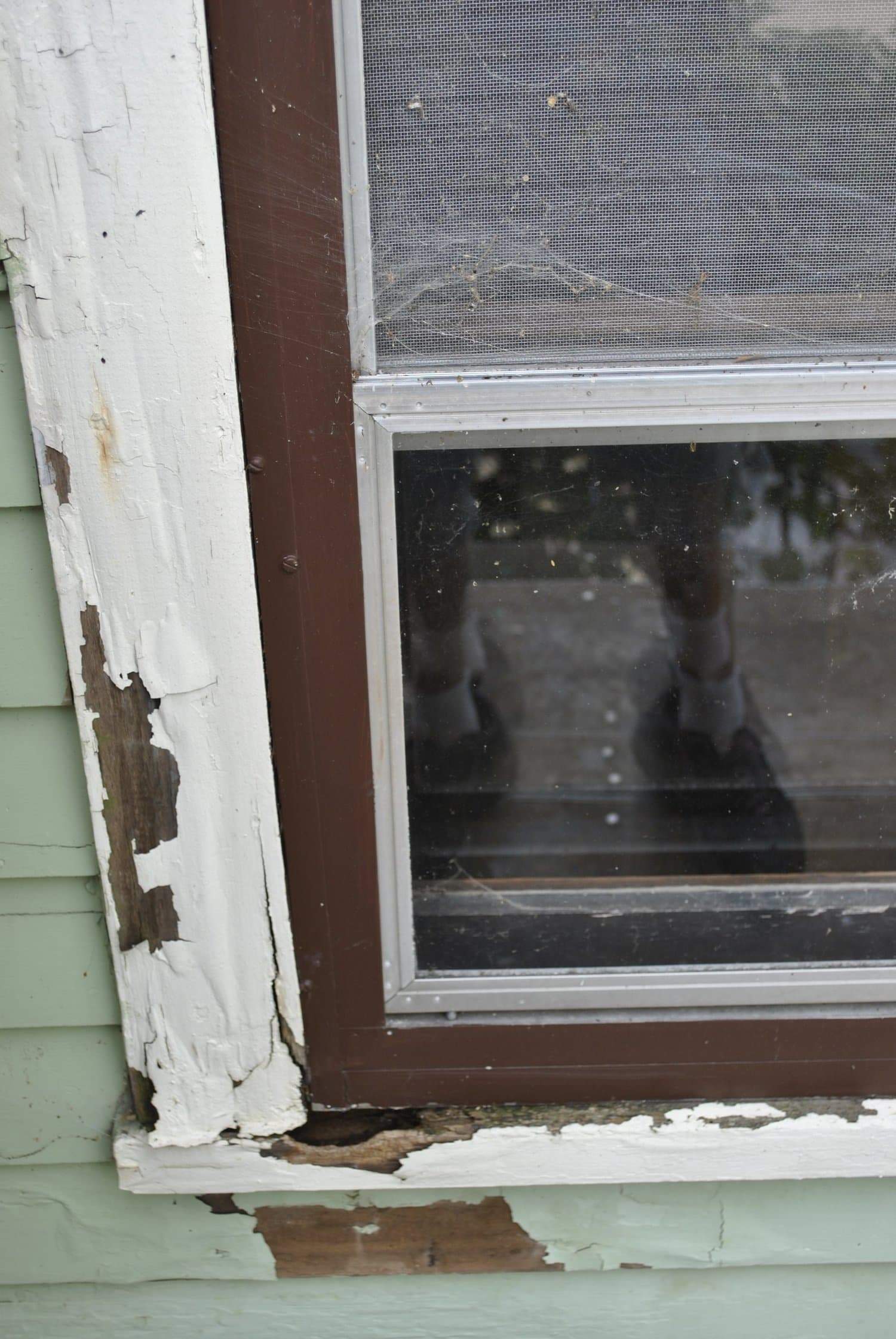 Urban Farmhouse, Second Owner — photo 2