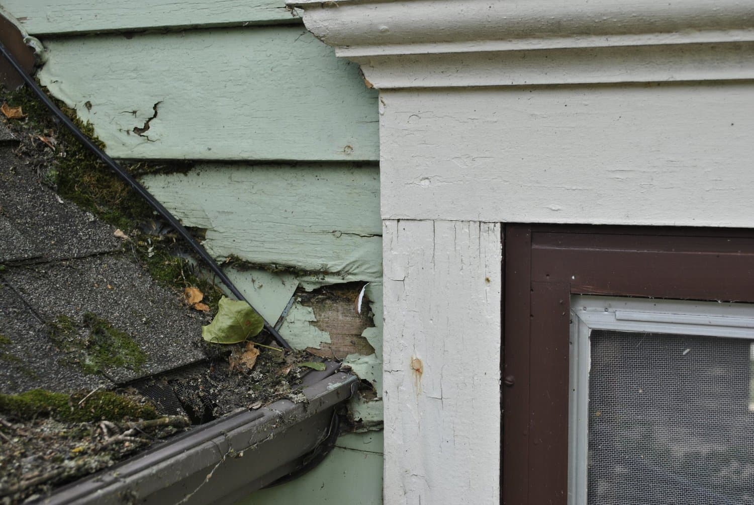 Urban Farmhouse, Second Owner — photo 3