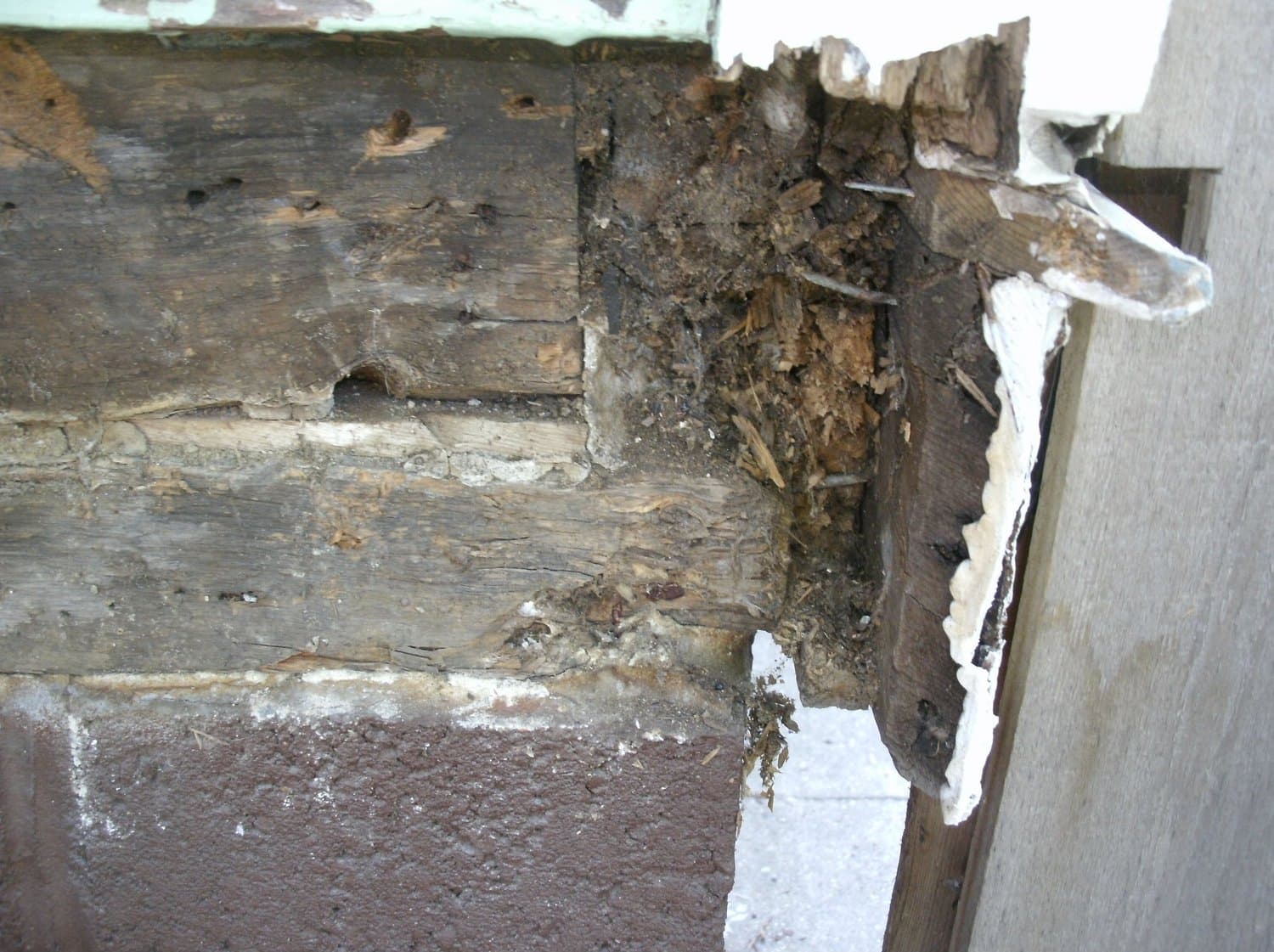 Urban Farmhouse Exterior — photo 22